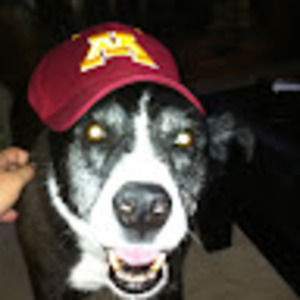 Meet your Posher, Andrew